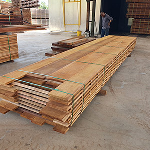 MERBAU TIMBER